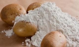 淀粉可以代替面粉吗